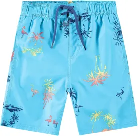 Kanu Surf Boys' Specter Quick Dry UPF 50  Beach Swim Trunk