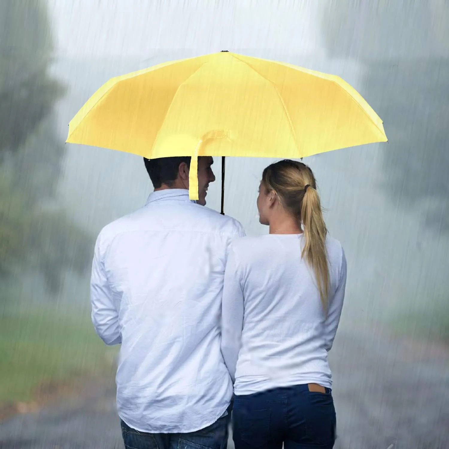 TradMall 2 Pack Travel Umbrella Windproof 46/56 Inches Large Canopy Reinforced Fiberglass Ribs Auto Open & Close
